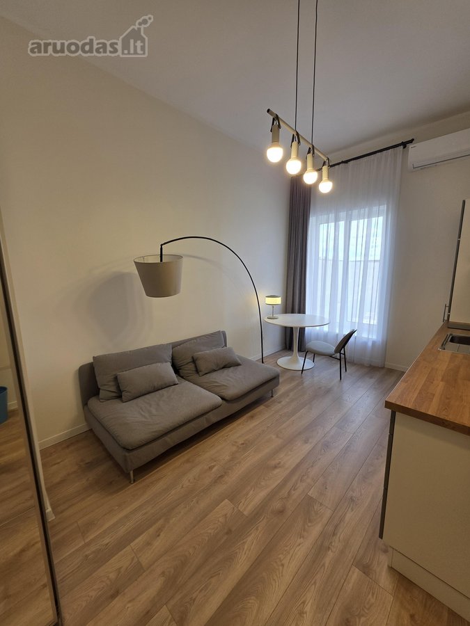 Puikiai Rengti Erdvūs Apartamentai - nuotraukos Nr. 7