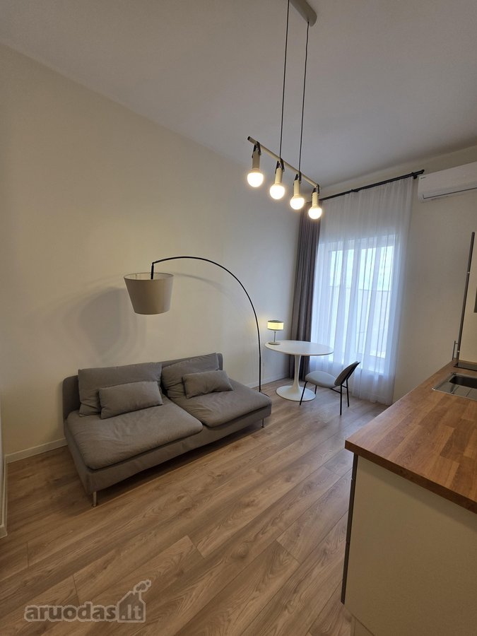 Puikiai Rengti Erdvūs Apartamentai - nuotraukos Nr. 8