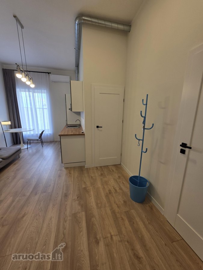Puikiai Rengti Erdvūs Apartamentai - nuotraukos Nr. 9
