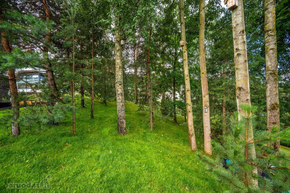 Modernios Architektūros Namas Pušyno - nuotraukos Nr. 29