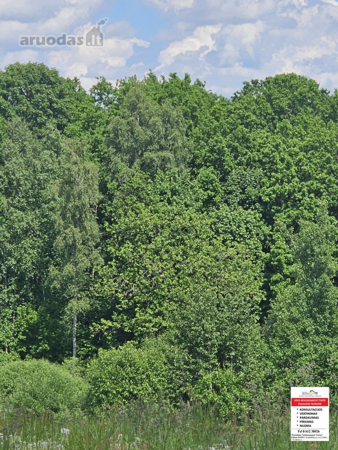 Parduodami 15,26ha bendro ploto sklypai su - nuotraukos Nr. 3