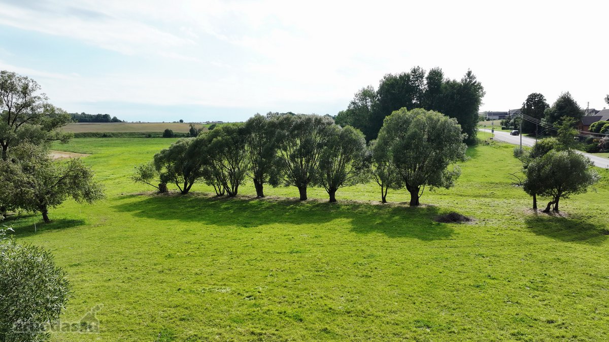 Parduodamas Namas Prienų Rajone. Žiūronių - nuotraukos Nr. 12