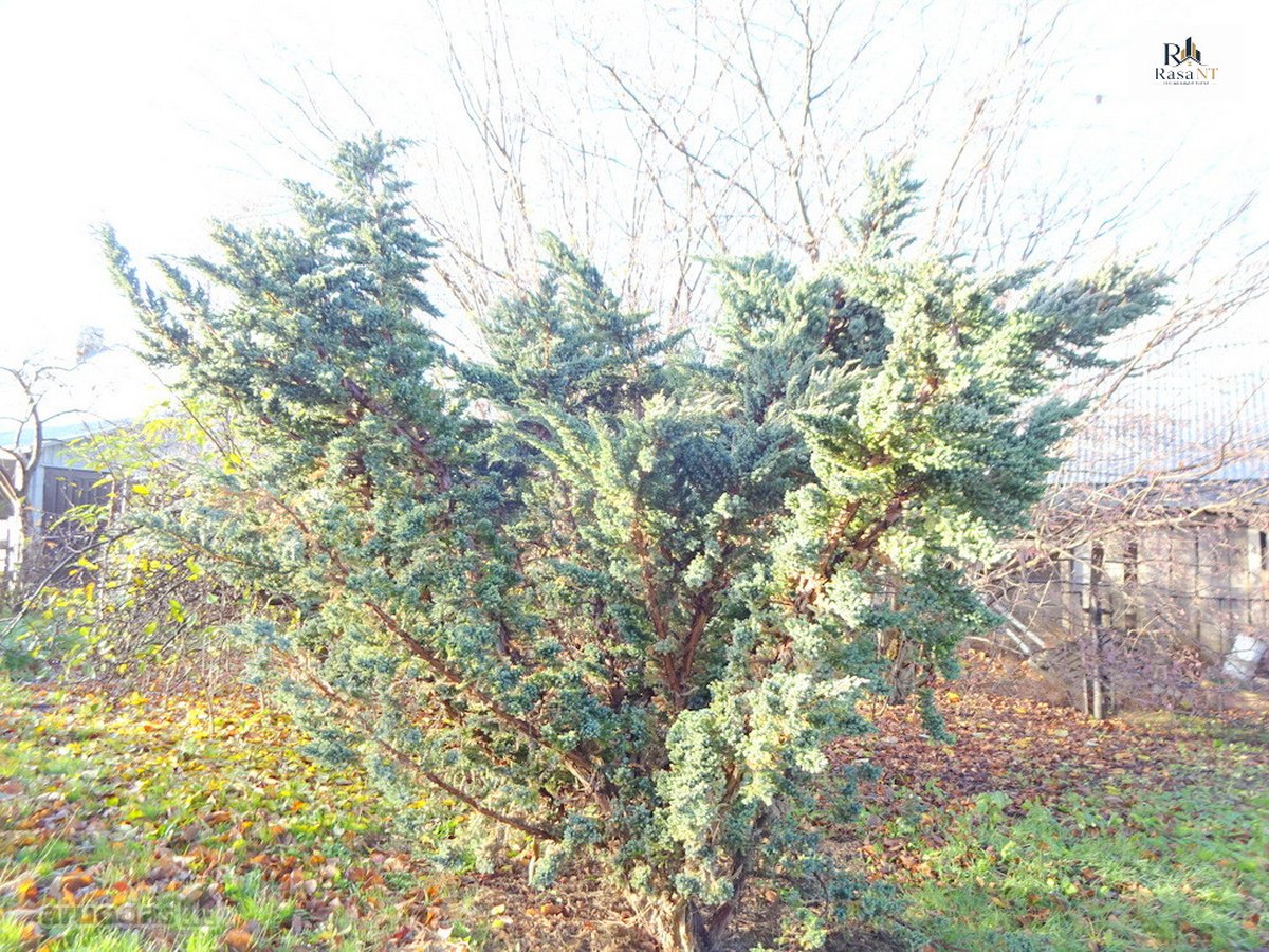 Parduodamas erdvus 15a sklypas Šarkaičių g. - nuotraukos Nr. 15