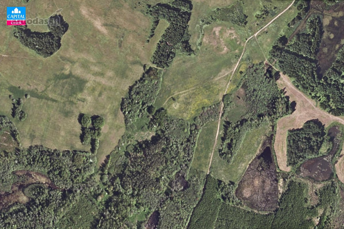 Parduodamas 8,28 Ha Žemės Ūkio Paskirties - nuotraukos Nr. 4