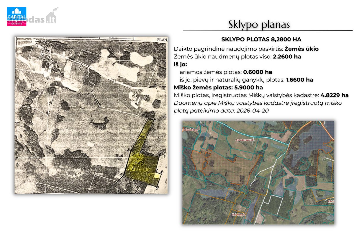 Parduodamas 8,28 Ha Žemės Ūkio Paskirties - nuotraukos Nr. 8