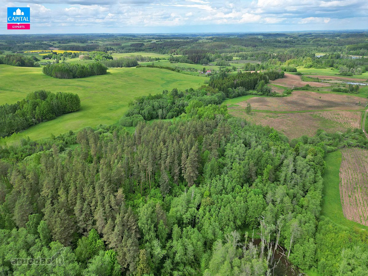 Parduodamas 8,28 Ha Žemės Ūkio Paskirties - nuotraukos Nr. 11