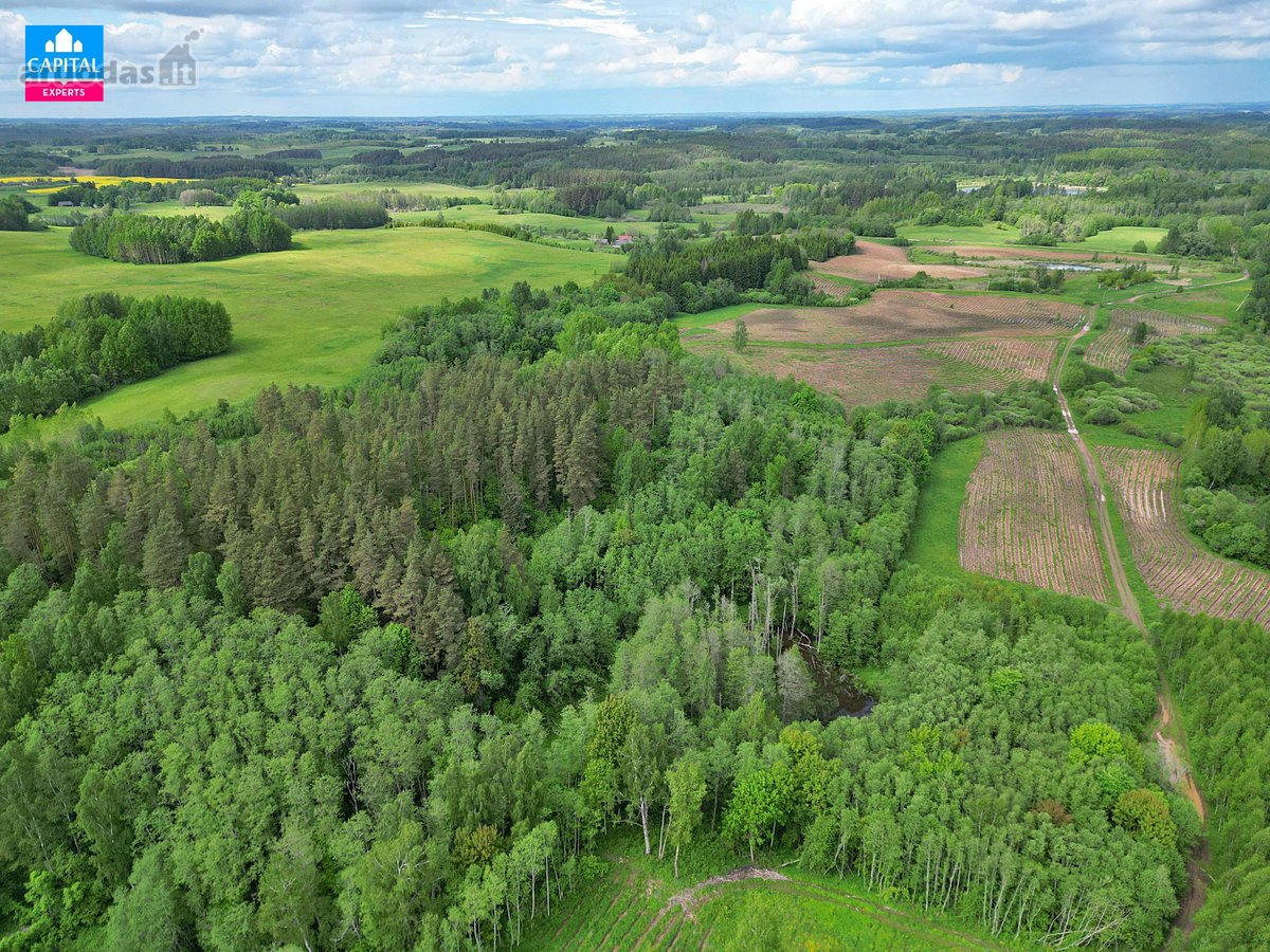 Parduodamas 8,28 Ha Žemės Ūkio Paskirties - nuotraukos Nr. 10