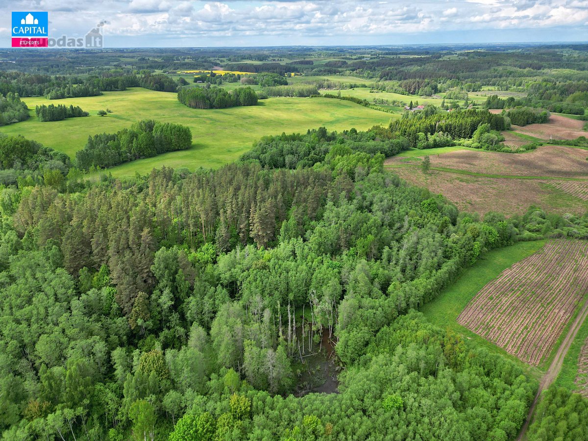 Parduodamas 8,28 Ha Žemės Ūkio Paskirties - nuotraukos Nr. 6