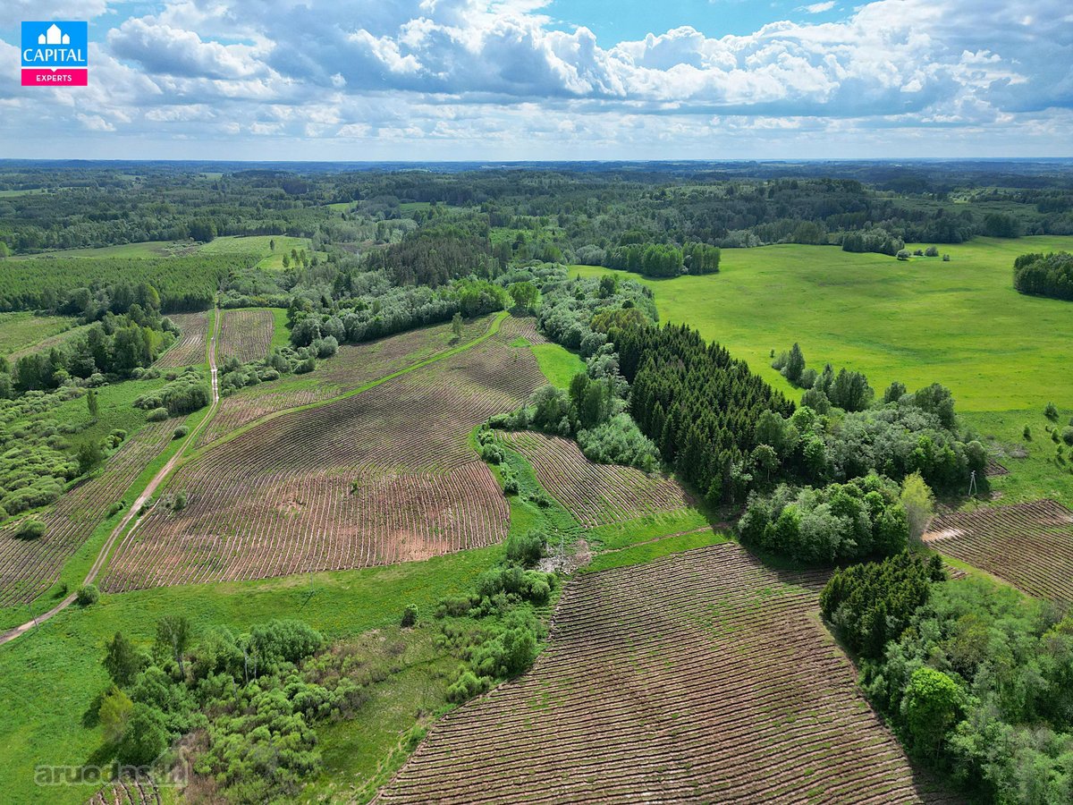 Parduodamas 8,28 Ha Žemės Ūkio Paskirties - nuotraukos Nr. 9