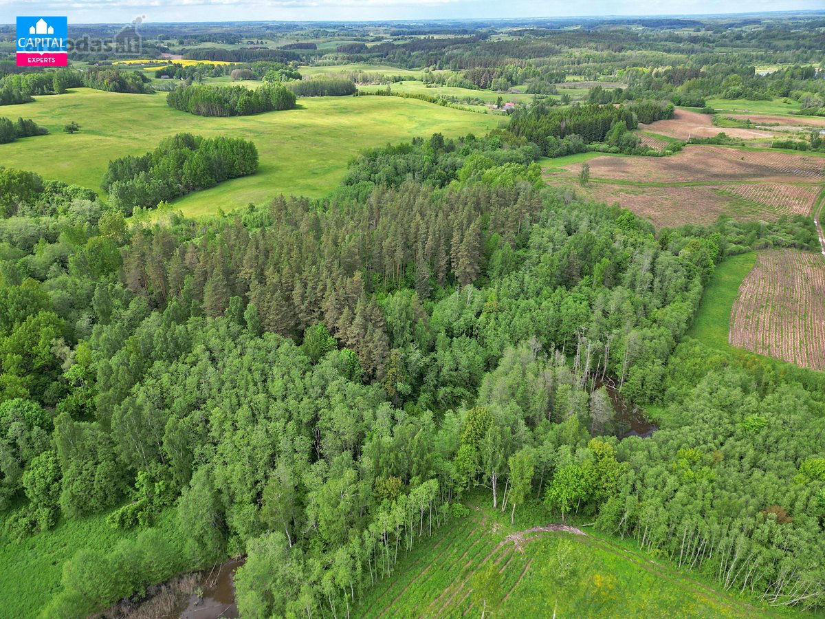 Parduodamas 8,28 Ha Žemės Ūkio Paskirties - nuotraukos Nr. 3