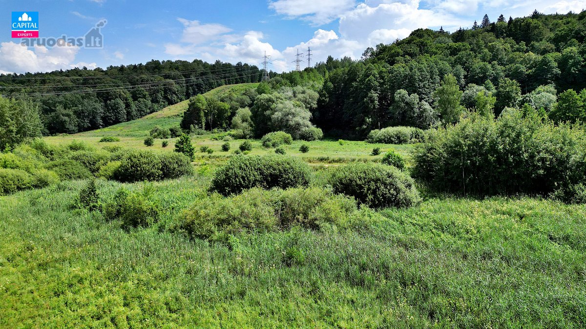 Šalia Neries upės, Vaisteriškių k., - nuotraukos Nr. 6