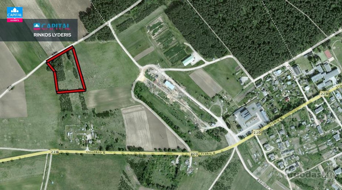 Markūnų kaime, 2 km nuo Rūdiškių, parduodamas - nuotraukos Nr. 4