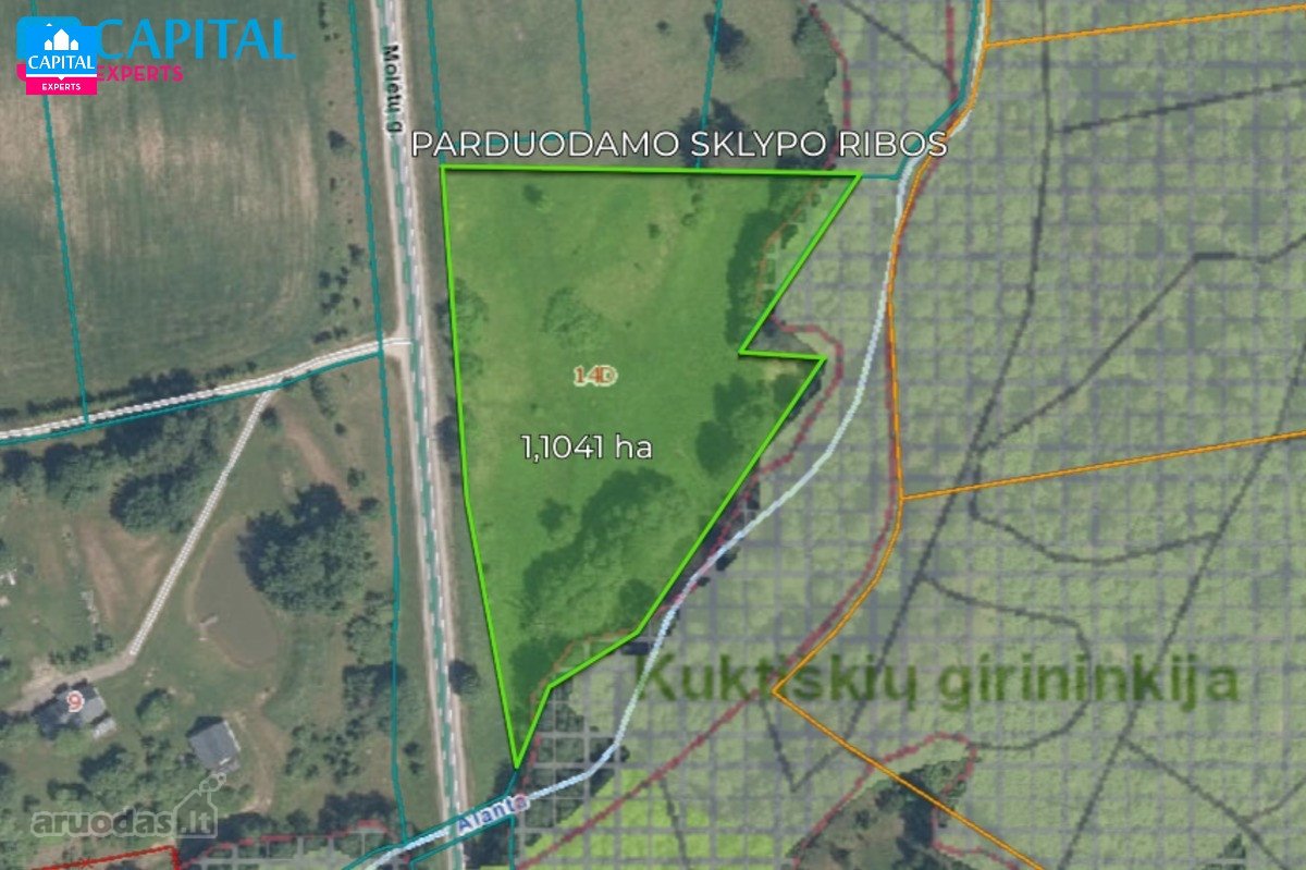 Parduodamas šalia Alantos upės ir Alantos - nuotraukos Nr. 7
