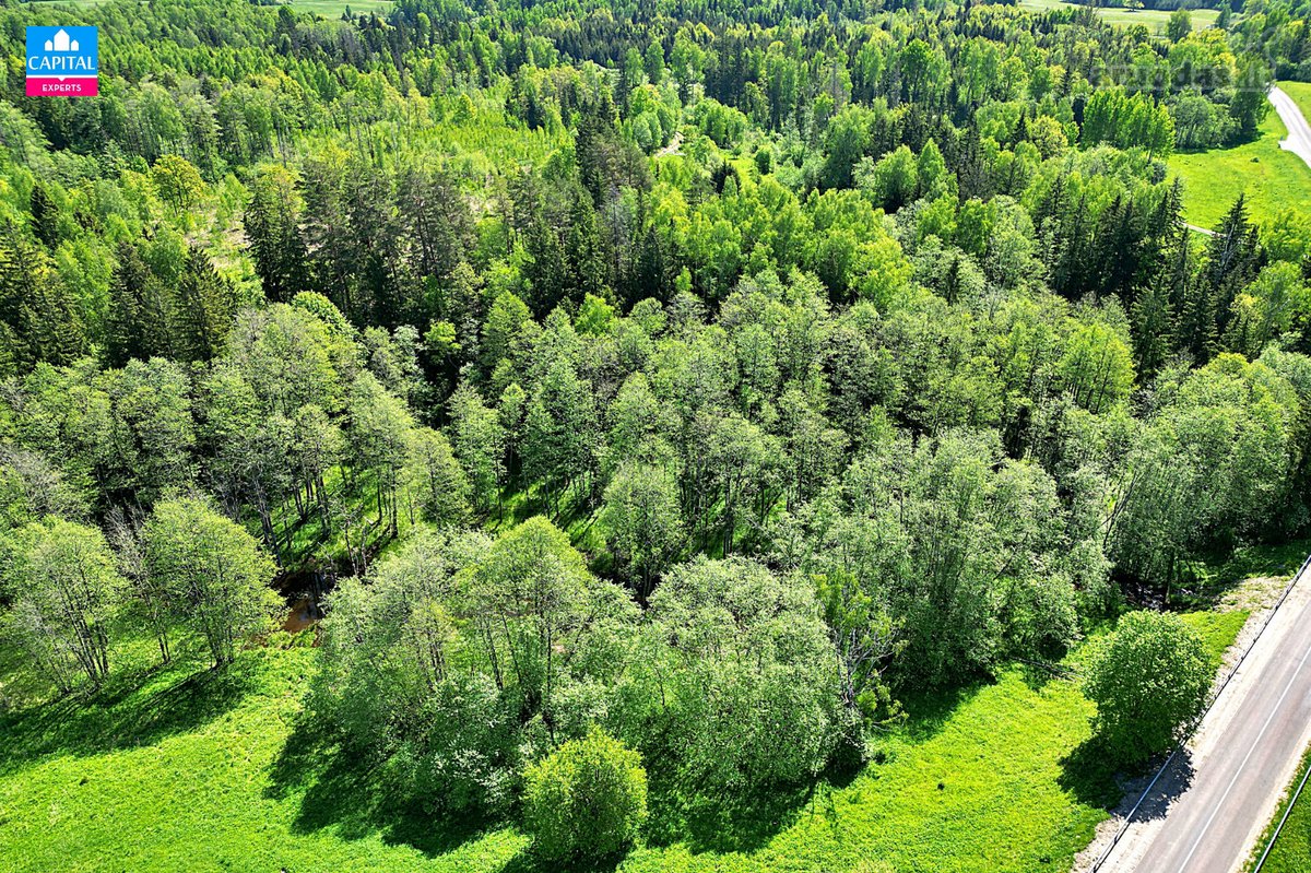 Parduodamas šalia Alantos upės ir Alantos - nuotraukos Nr. 3