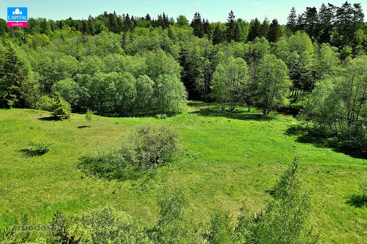 Parduodamas šalia Alantos upės ir Alantos - nuotraukos Nr. 2