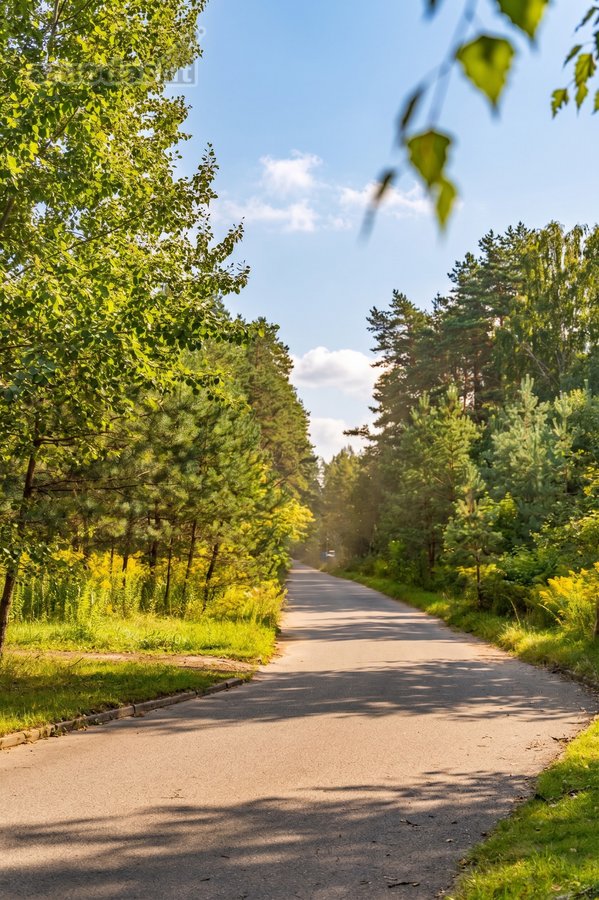 Išskirtinėje vietoje, apsuptoje miško ir - nuotraukos Nr. 33