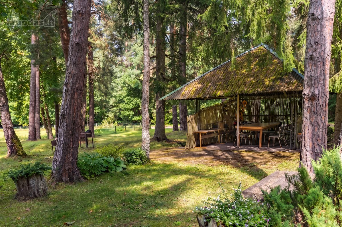 Išskirtinėje vietoje, apsuptoje miško ir - nuotraukos Nr. 34