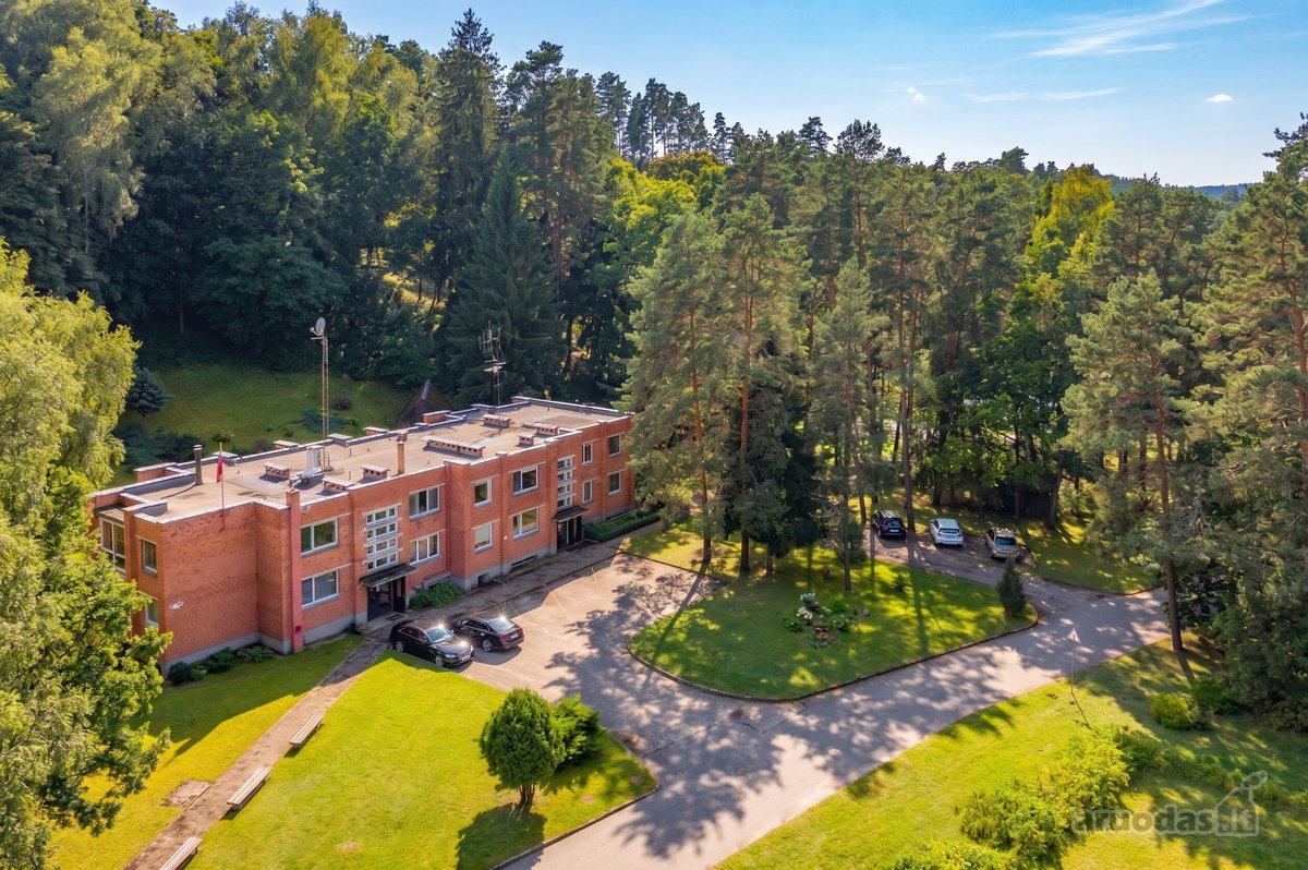 Išskirtinėje vietoje, apsuptoje miško ir - nuotraukos Nr. 37