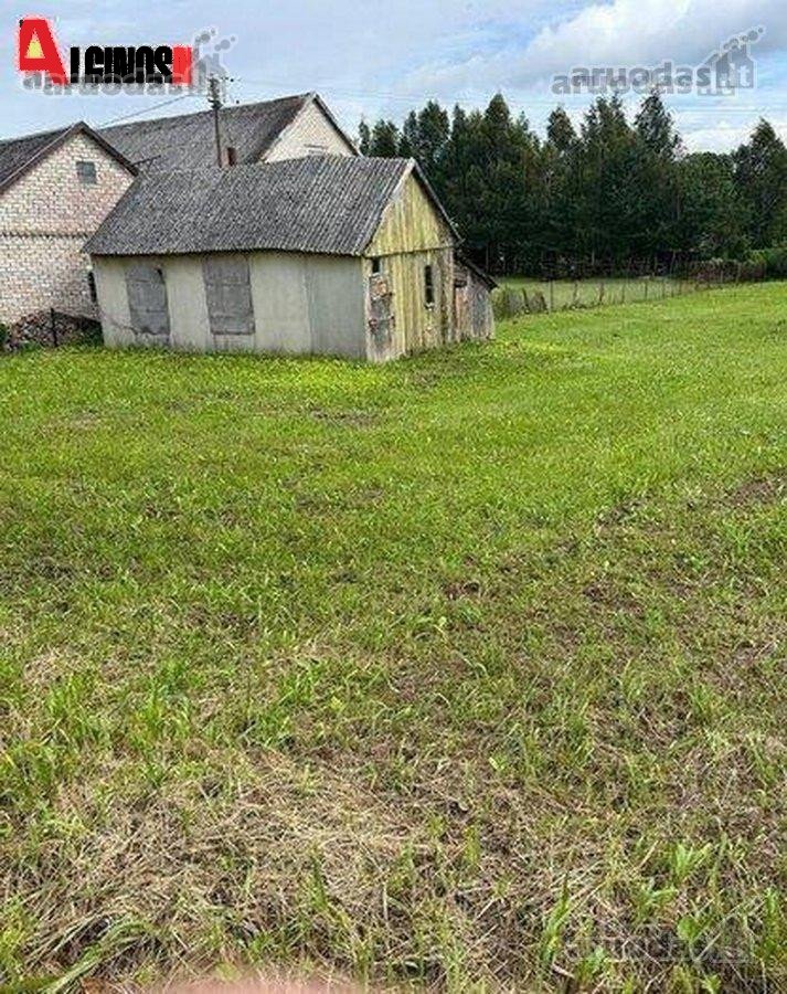 Pajūrio miestelyje, Šilalės rajone, Dariaus - nuotraukos Nr. 3