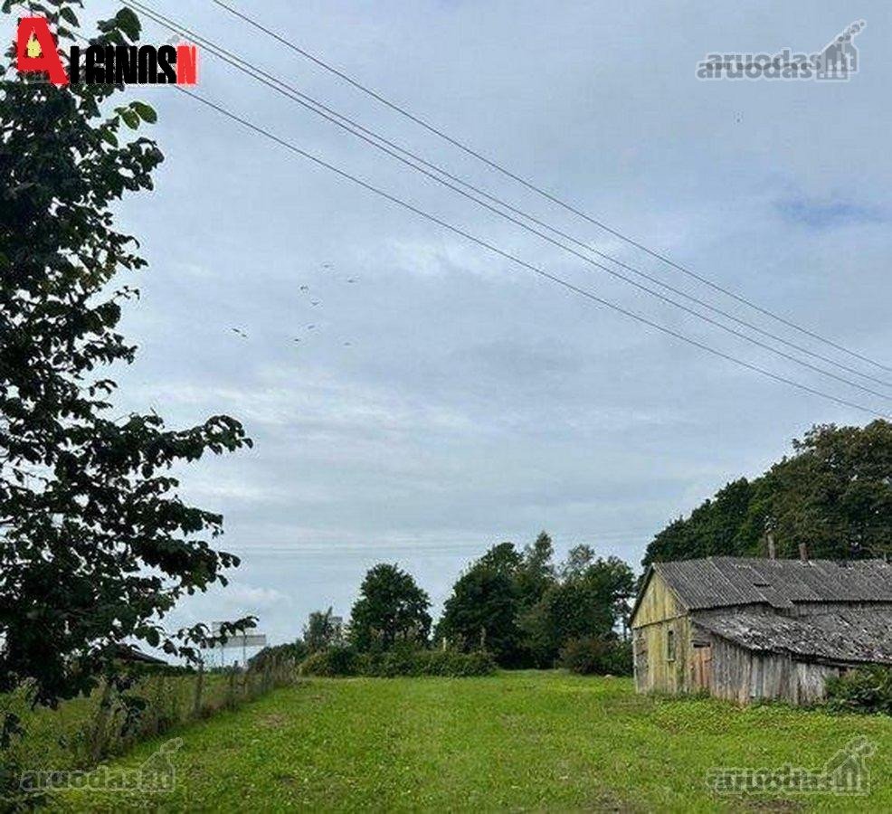 Pajūrio miestelyje, Šilalės rajone, Dariaus - nuotraukos Nr. 4