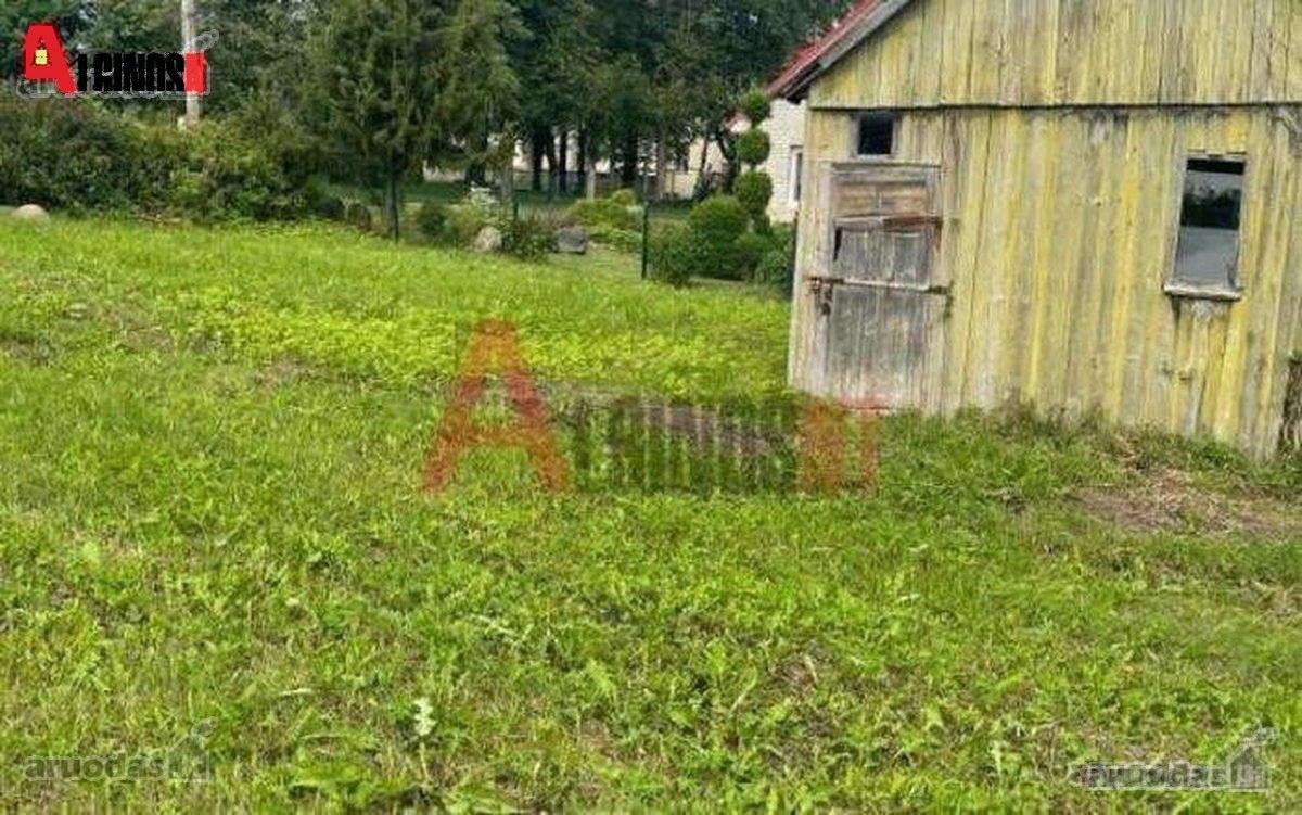 Pajūrio miestelyje, Šilalės rajone, Dariaus - nuotraukos Nr. 9