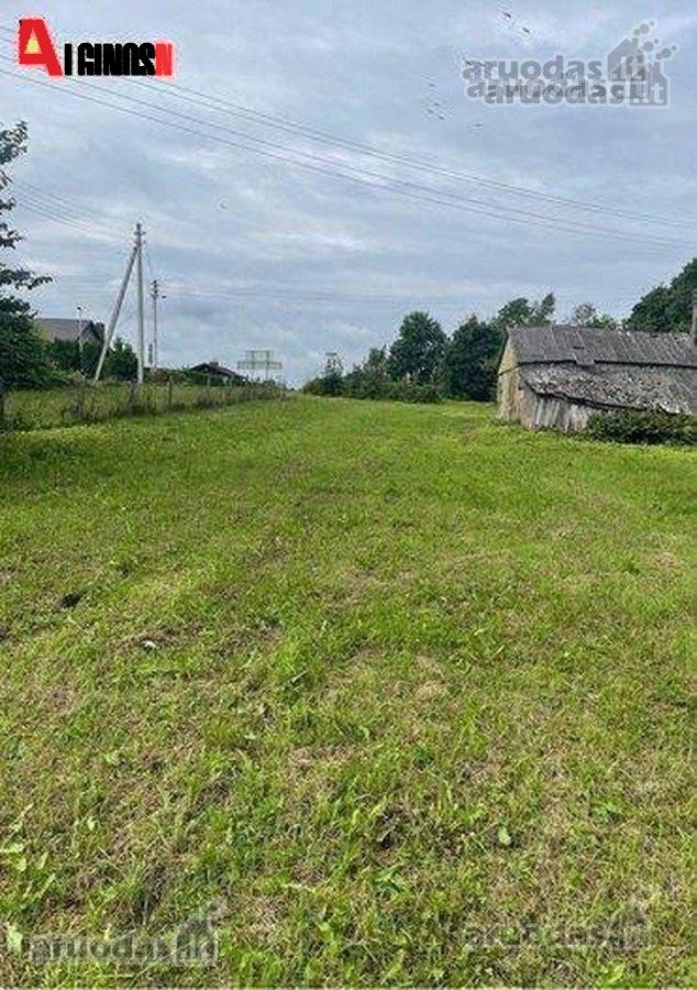 Pajūrio miestelyje, Šilalės rajone, Dariaus - nuotraukos Nr. 10
