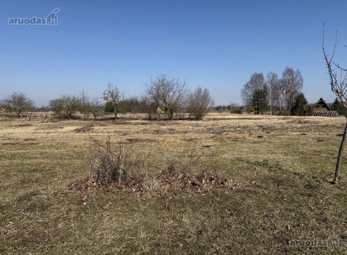 Sodo sklypas sodų bendrijoje - nuotraukos Nr. 2