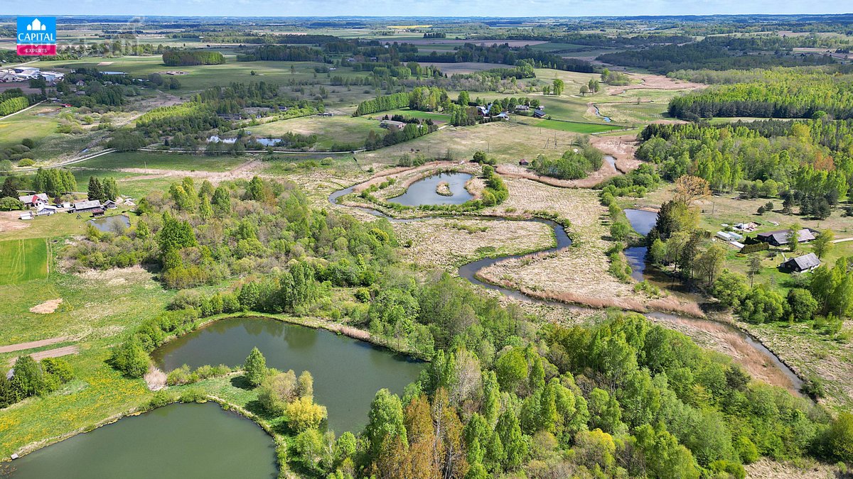 Parduodamas 5,38 ha žemės ūkio sklypas su - nuotraukos Nr. 6
