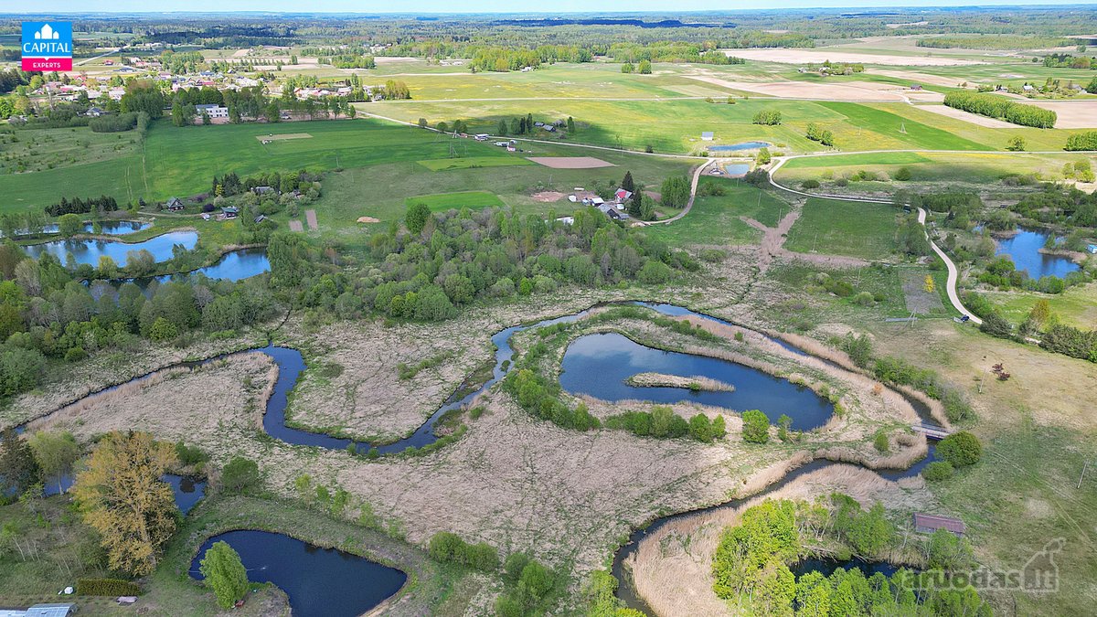 Parduodamas 5,38 ha žemės ūkio sklypas su - nuotraukos Nr. 12