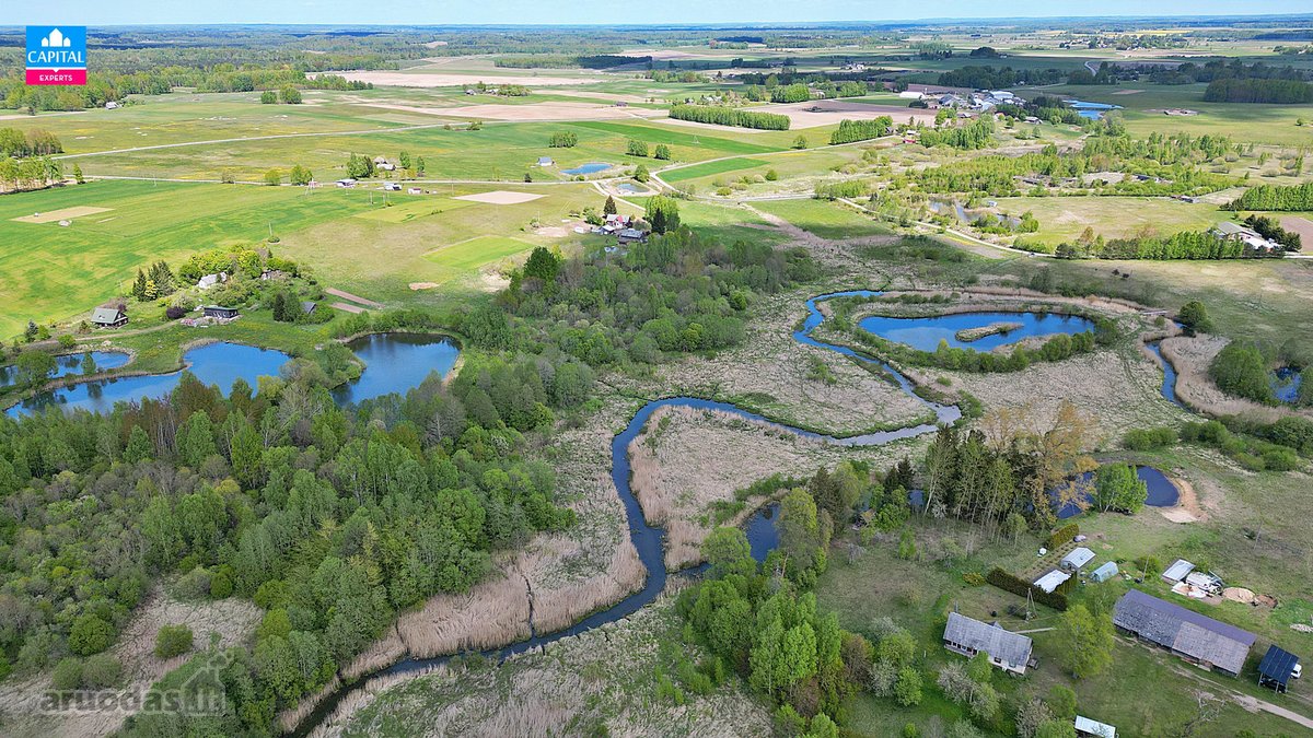 Parduodamas 5,38 ha žemės ūkio sklypas su - nuotraukos Nr. 10