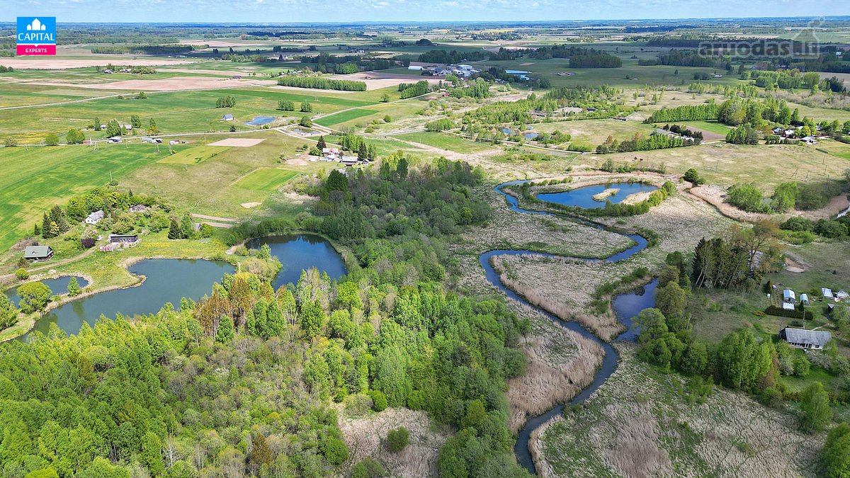 Parduodamas 5,38 ha žemės ūkio sklypas su - nuotraukos Nr. 9