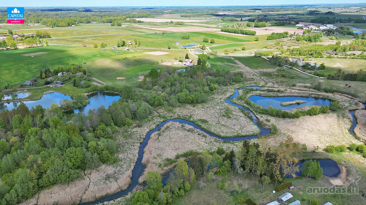 Parduodamas 5,38 ha žemės ūkio sklypas su - nuotraukos Nr. 11