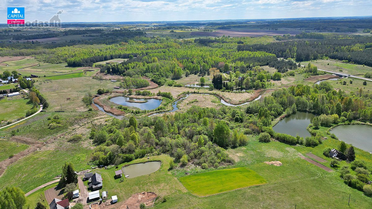 Parduodamas 5,38 ha žemės ūkio sklypas su - nuotraukos Nr. 14
