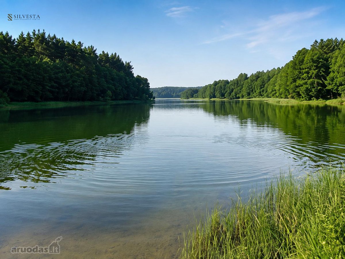 Parduodami du miškų ūkio paskirties sklypai - nuotraukos Nr. 2