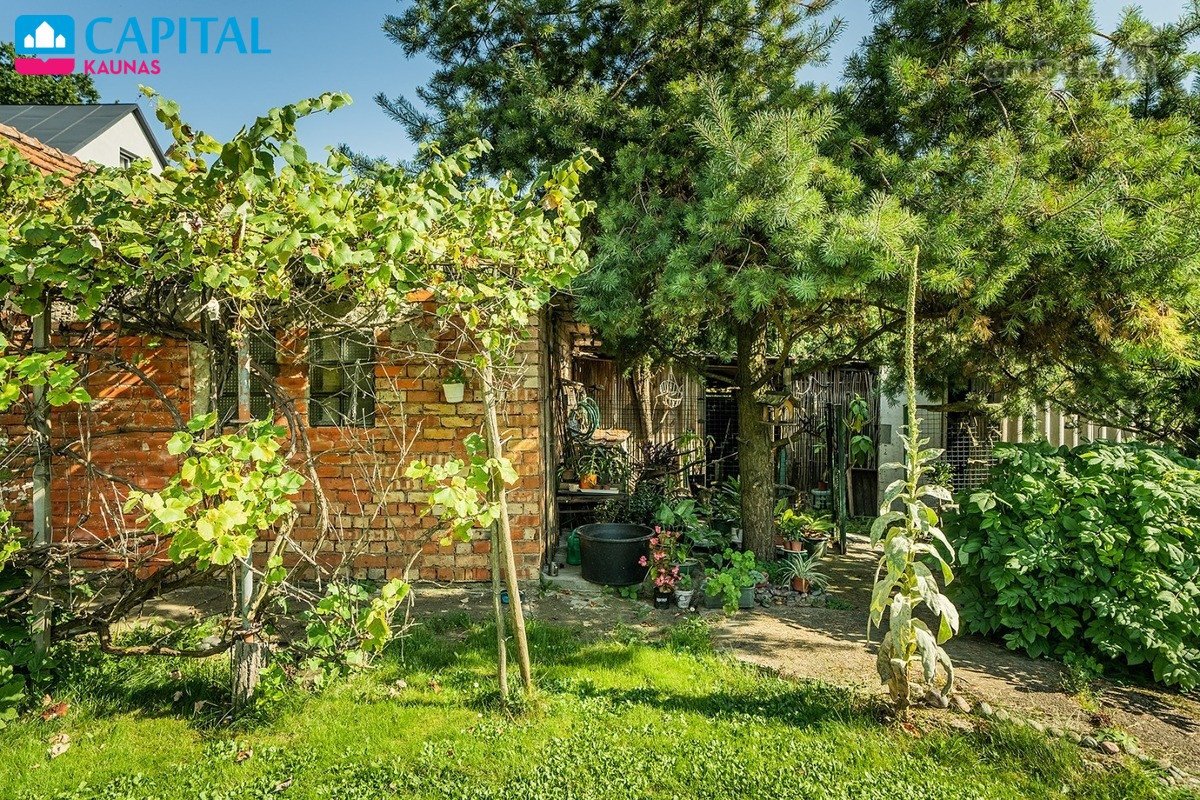 Parduodamas Namas Palemone, Netoliese Miško - nuotraukos Nr. 23