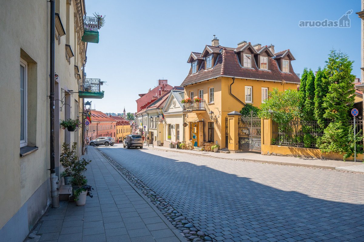 Senajame Užupyje parduodamas ne tik savo - nuotraukos Nr. 15