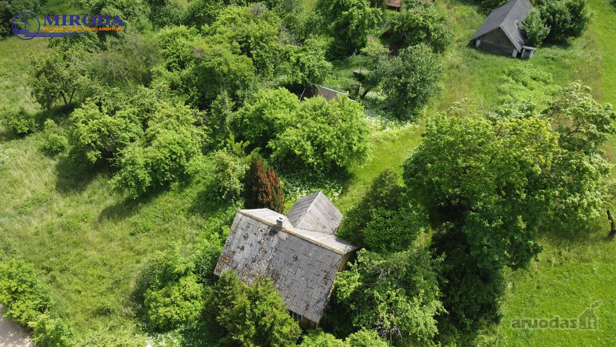 Parduodama pusė, t.y. 1/2 dalis sodybos - nuotraukos Nr. 5