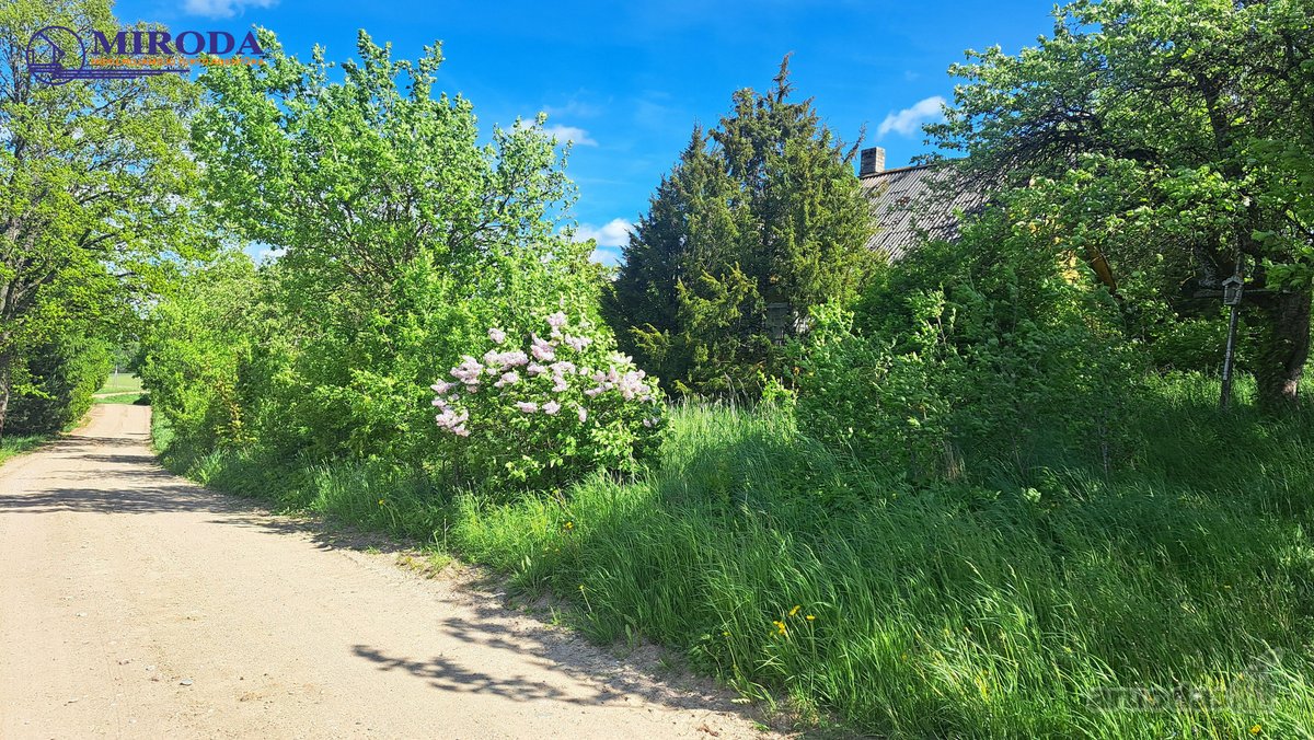 Parduodama pusė, t.y. 1/2 dalis sodybos - nuotraukos Nr. 10