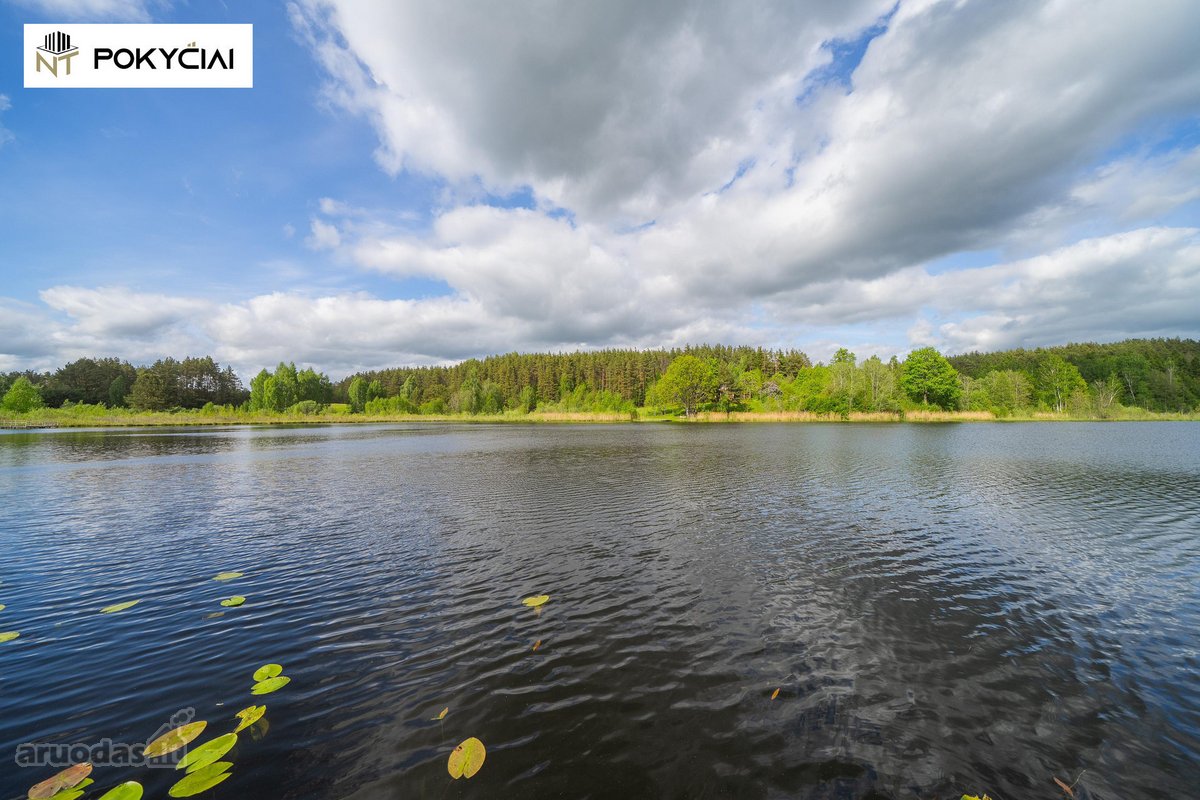 Ar pasvajojate apie ramų poilsį gamtoje, - nuotraukos Nr. 12