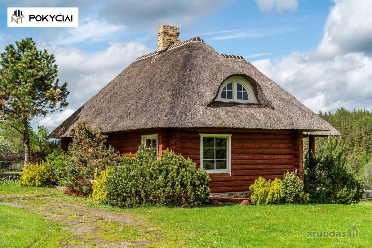 Ar pasvajojate apie ramų poilsį gamtoje, - nuotraukos Nr. 17