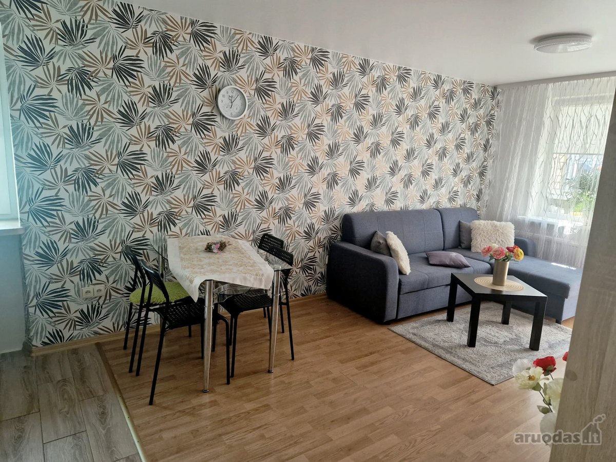 Druskininkų centre – 2 kambarių butas, 33,96 - nuotraukos Nr. 4