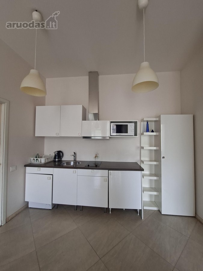 Dviejų kambarių butas nuomai Vilniaus - nuotraukos Nr. 10