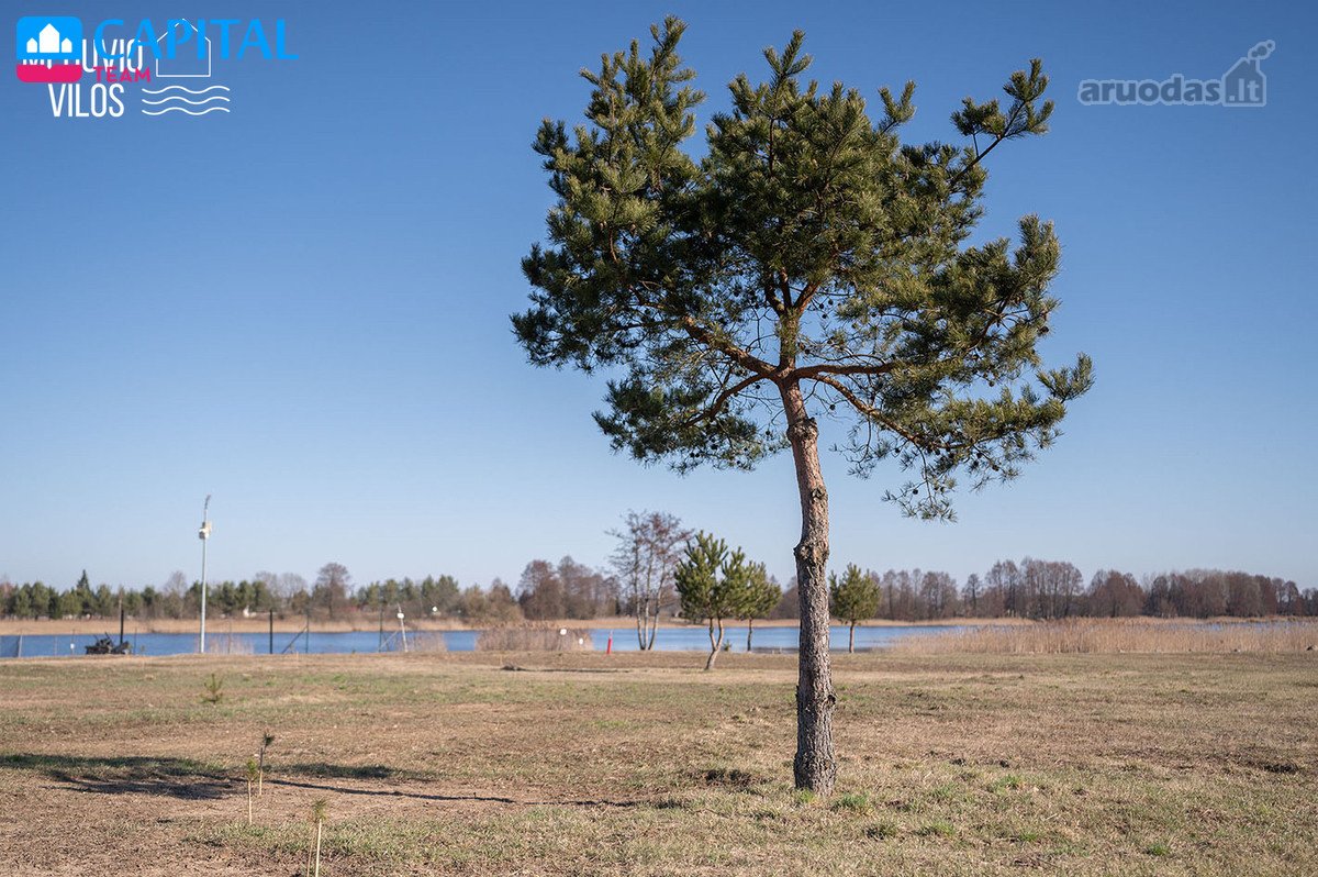 Meduvio Vilos‘e parduodami namų valdos sklypai. - nuotraukos Nr. 13