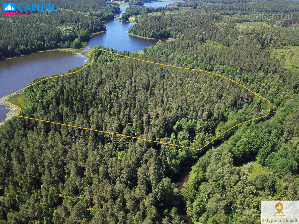 Labanoro girioje ant Lakajos upės ir Lakajos - nuotraukos Nr. 10