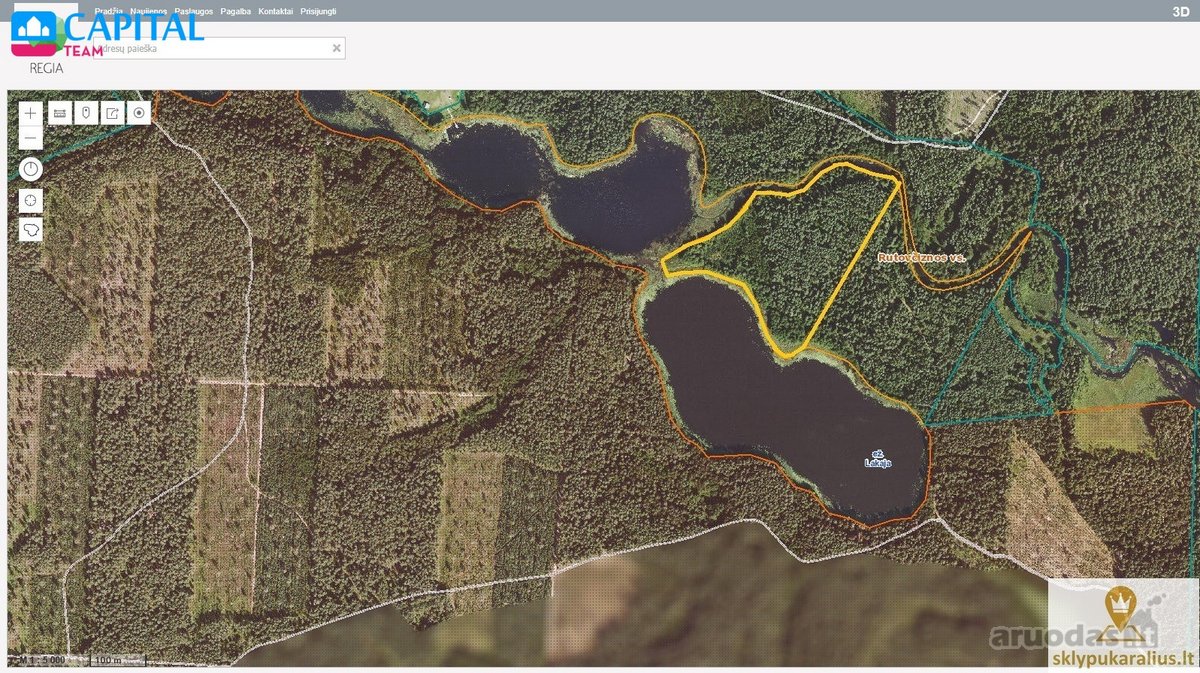 Labanoro girioje ant Lakajos upės ir Lakajos - nuotraukos Nr. 12