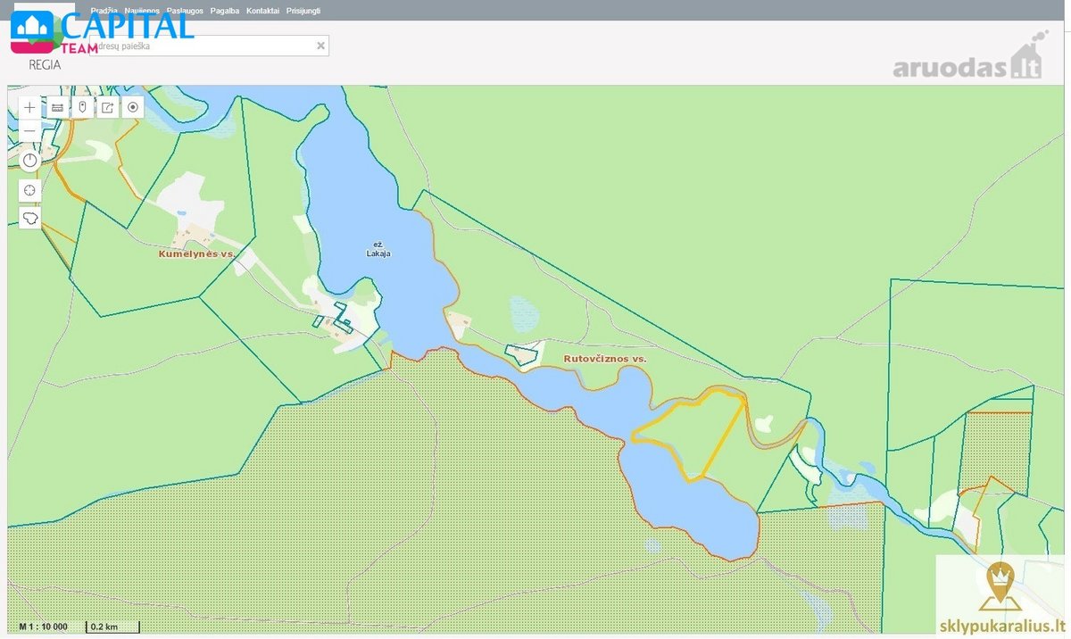 Labanoro girioje ant Lakajos upės ir Lakajos - nuotraukos Nr. 13