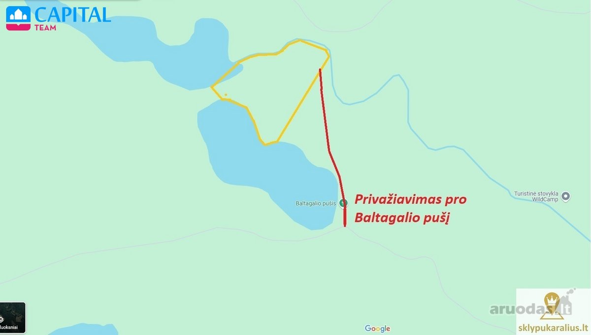 Labanoro girioje ant Lakajos upės ir Lakajos - nuotraukos Nr. 14