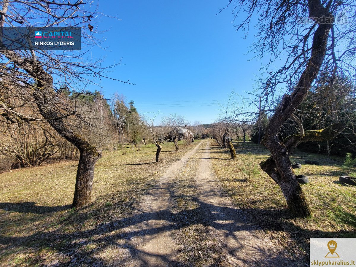 Šalčininkų rajone, visai šalia Varėnos rajono - nuotraukos Nr. 5