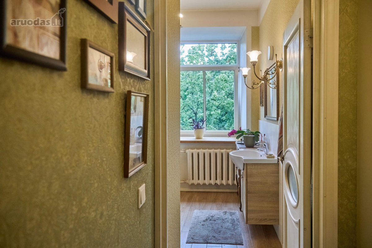 Visi buto langai žiūri į žalią parką ant - nuotraukos Nr. 13