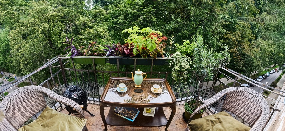 Visi buto langai žiūri į žalią parką ant - nuotraukos Nr. 16